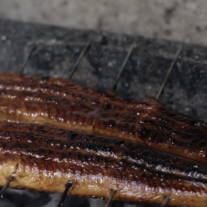 炭火でじっくり焼き上げる鰻